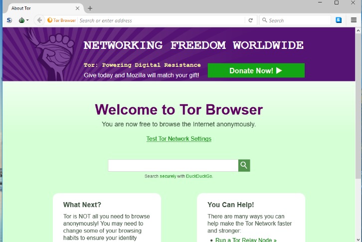 how to access the dark web