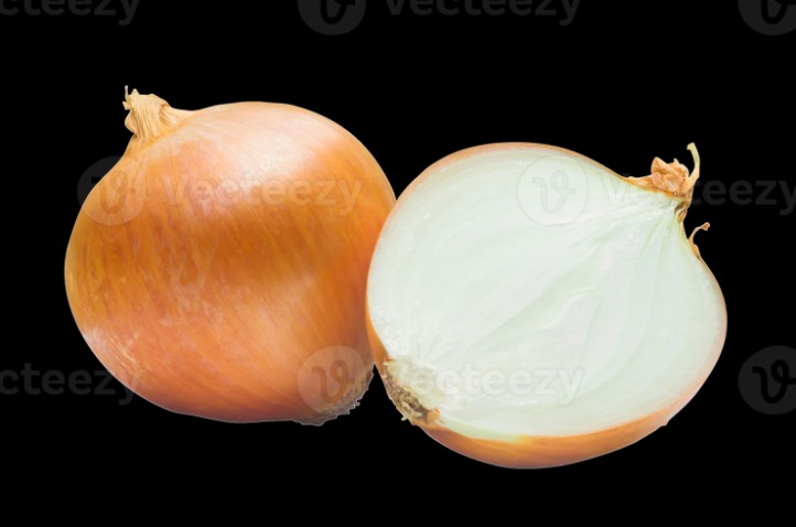onion directory