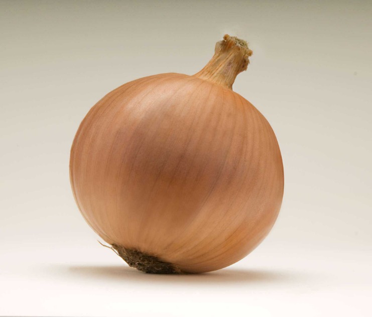 onion live links