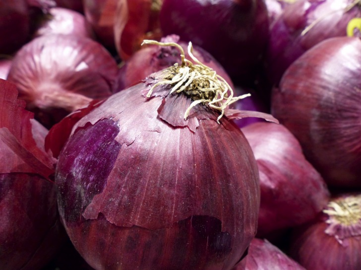 onion darknet market