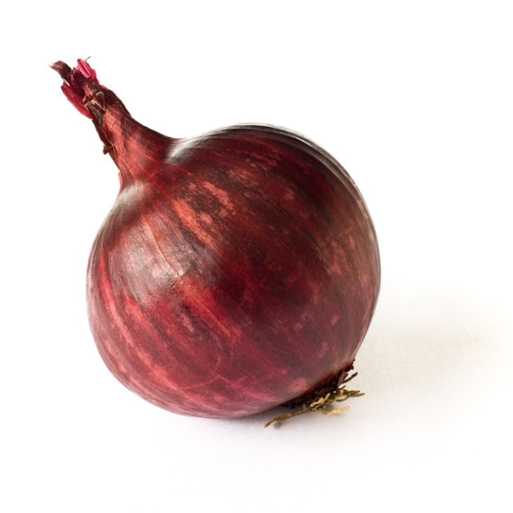 onion darknet market