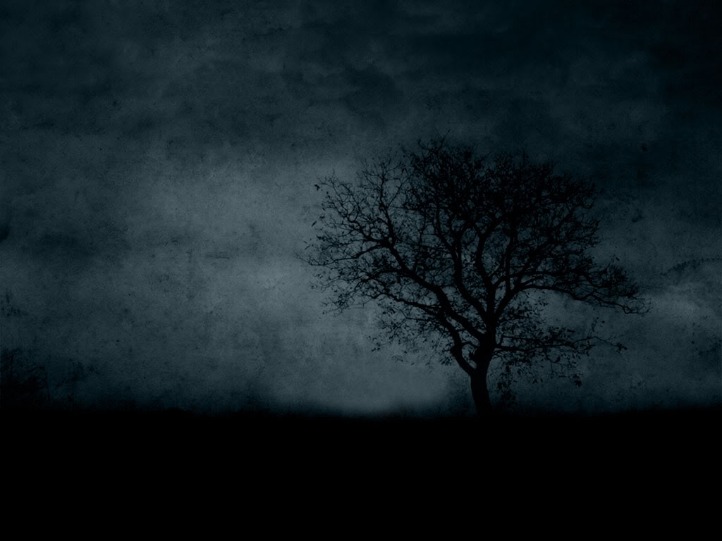 dark net market list reddit