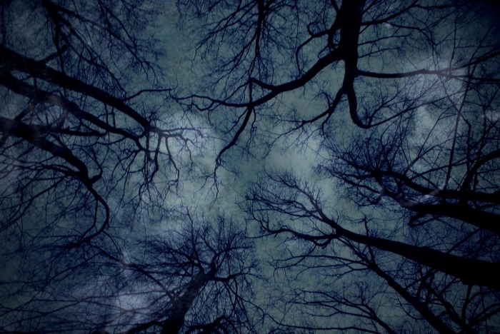 dark web markets reddit 2025