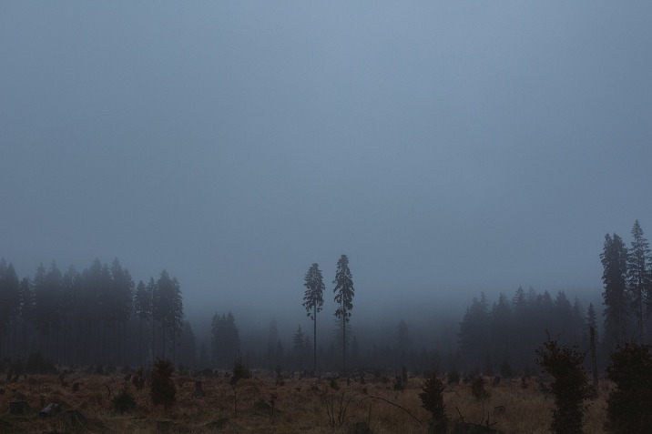 dark web websites reddit