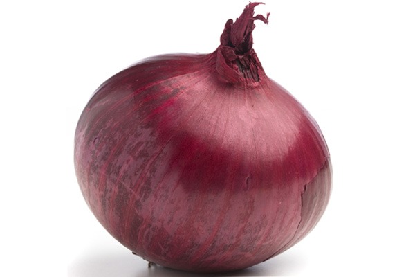 onion deep web search