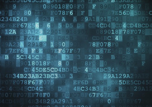 biggest darknet market 2025