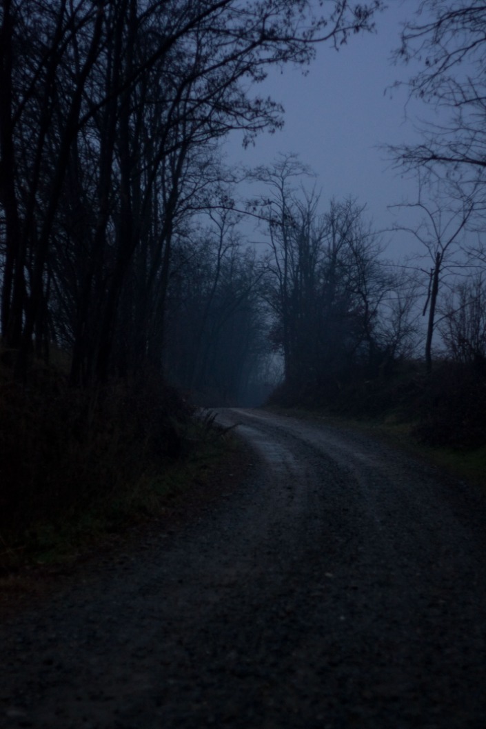 dark websites reddit