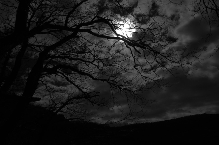 dark web search engine 2023