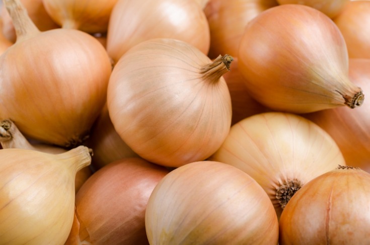 onion directory list