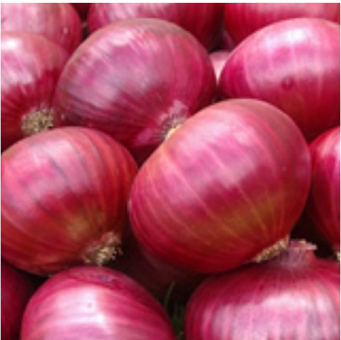 onion domain and kingdom