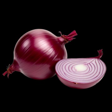 tor search onion link