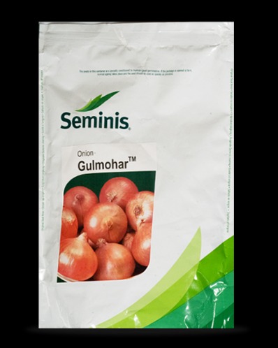 onion linkek