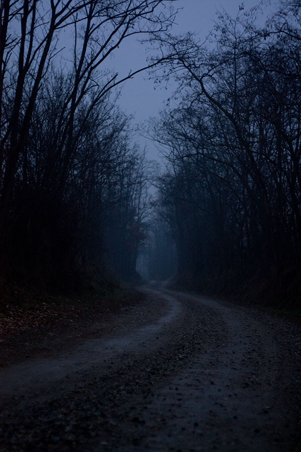 dark markets estonia