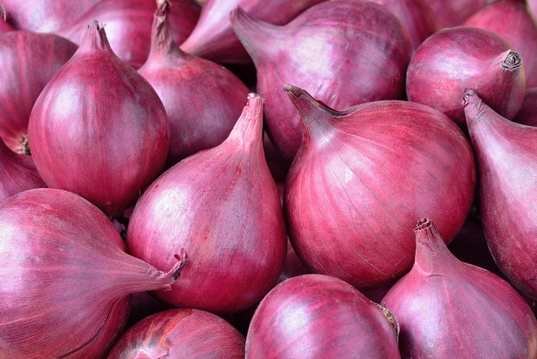 onion dark website