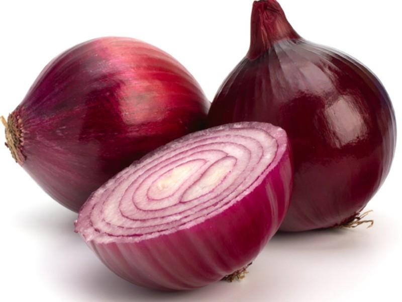 onion links sites
