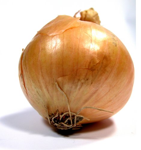 onion live links