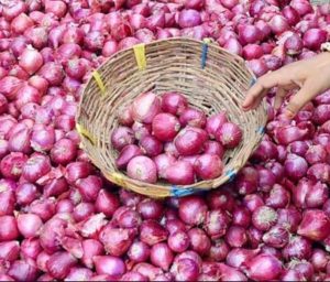 bohemia darknet market